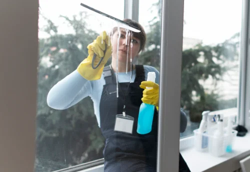 Nettoyage de vitres intérieures et extérieures à Châtenoy-en-Bresse